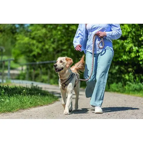 Нашийник для собак Trixie Cavo напівзашморг L-XL 52-60 см d 18 мм рожевий/пісочний - фото 3