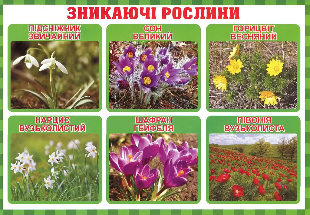 Тека вчителя. Між минулим та майбутнім (жовтень). 3 клас - фото 2