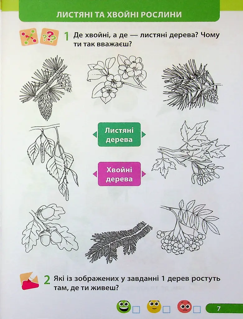 Я досліджую світ. Робочий зошит. 1 клас. Частина 2 - Лариса Мечник - фото 8