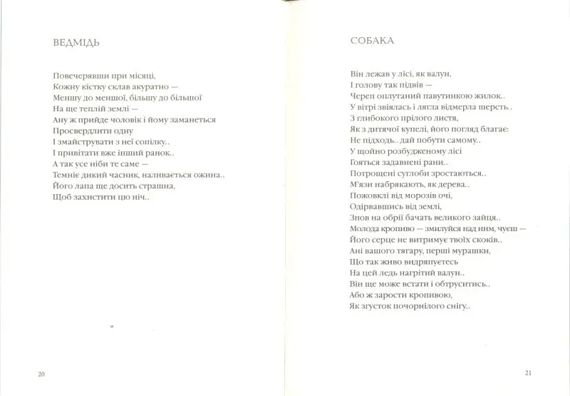 Книга Зима в Тисменице. Украинская Поэтическая Антология - Олег Лишега (А-БА-БА-ГА-ЛА-МА-ГА) - фото 2