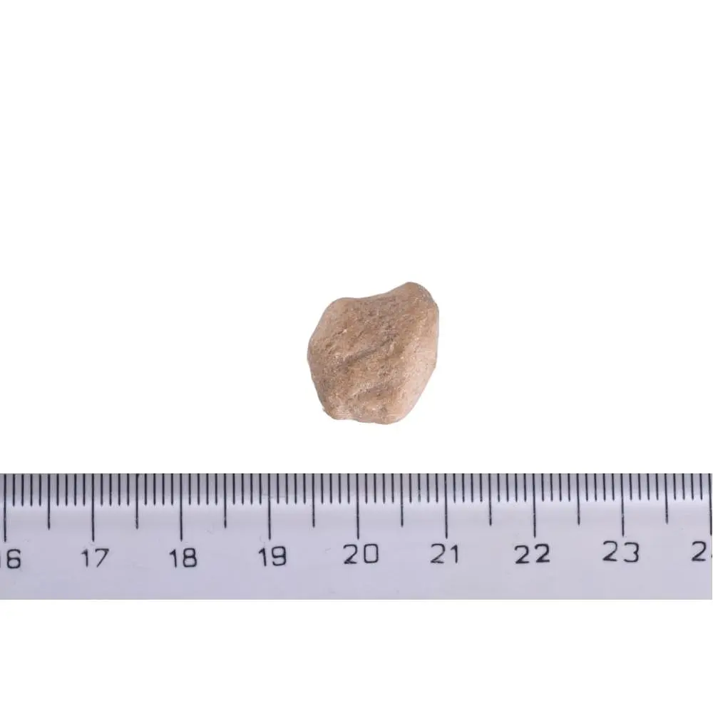 Лакомство для собак Brit Raw Treat freeze-dried Urinary для профилактики мочекаменной болезни, индейка, 40 г - фото 8