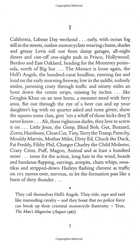 Hell's Angels - фото 4