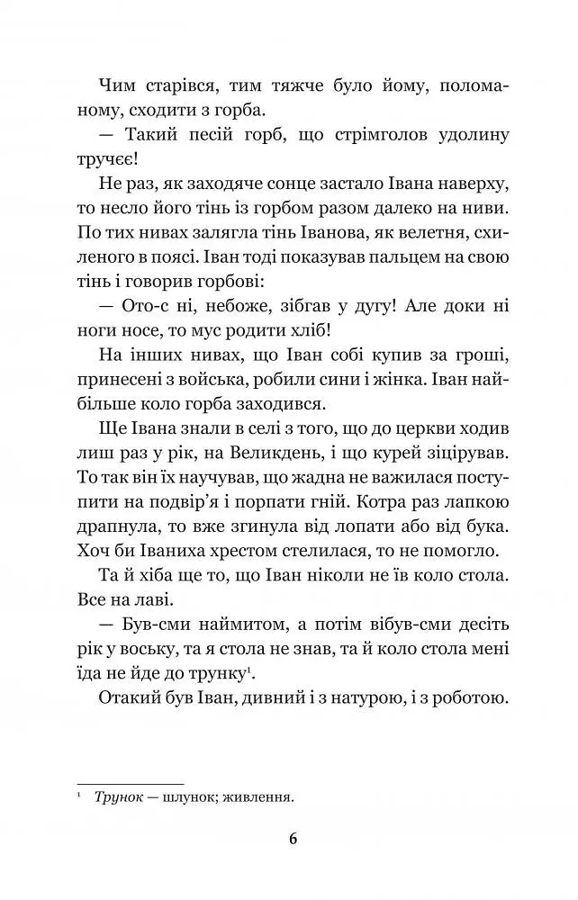 Камінний хрест - Василий Стефаник (978-966-10-5347-1) - фото 8