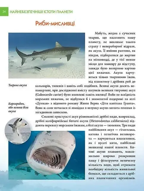 Найнебезпечніші істоти планети. Енциклопедія для допитливих - Андрій Гапченко - фото 7