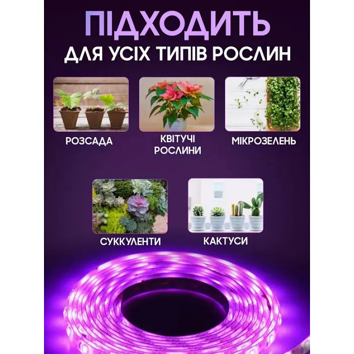 Светодиодная фитолента для комнатных растений фитолампа 12V полный спектр 5 метров от сети SMD 2835 - фото 4