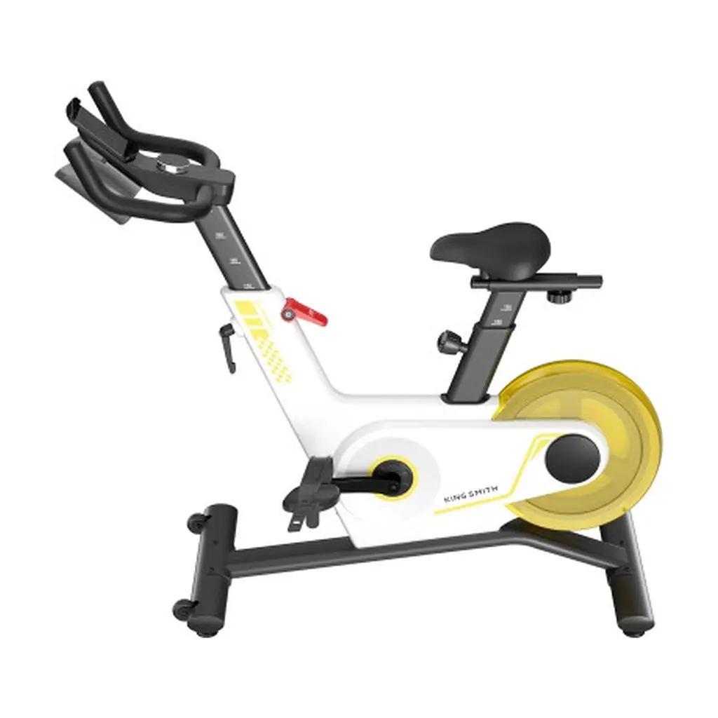Велотренажер Kingsmith Spinning bike PB08S white (PB08S WHITE) - фото 2