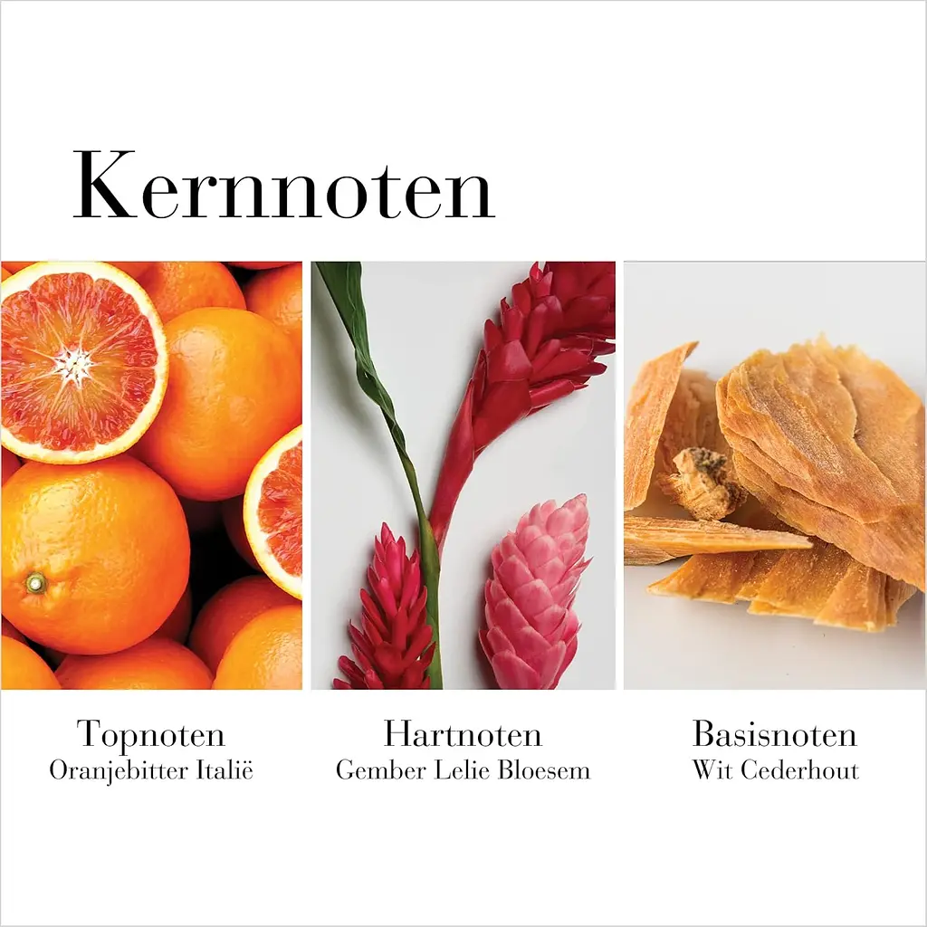 Туалетна вода для жінок Elizabeth Arden White Tea Ginger Lily 50 мл - фото 4