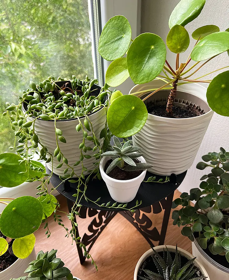 Підставка металева для квітів-вазонів NC Home Plant чорна - фото 3