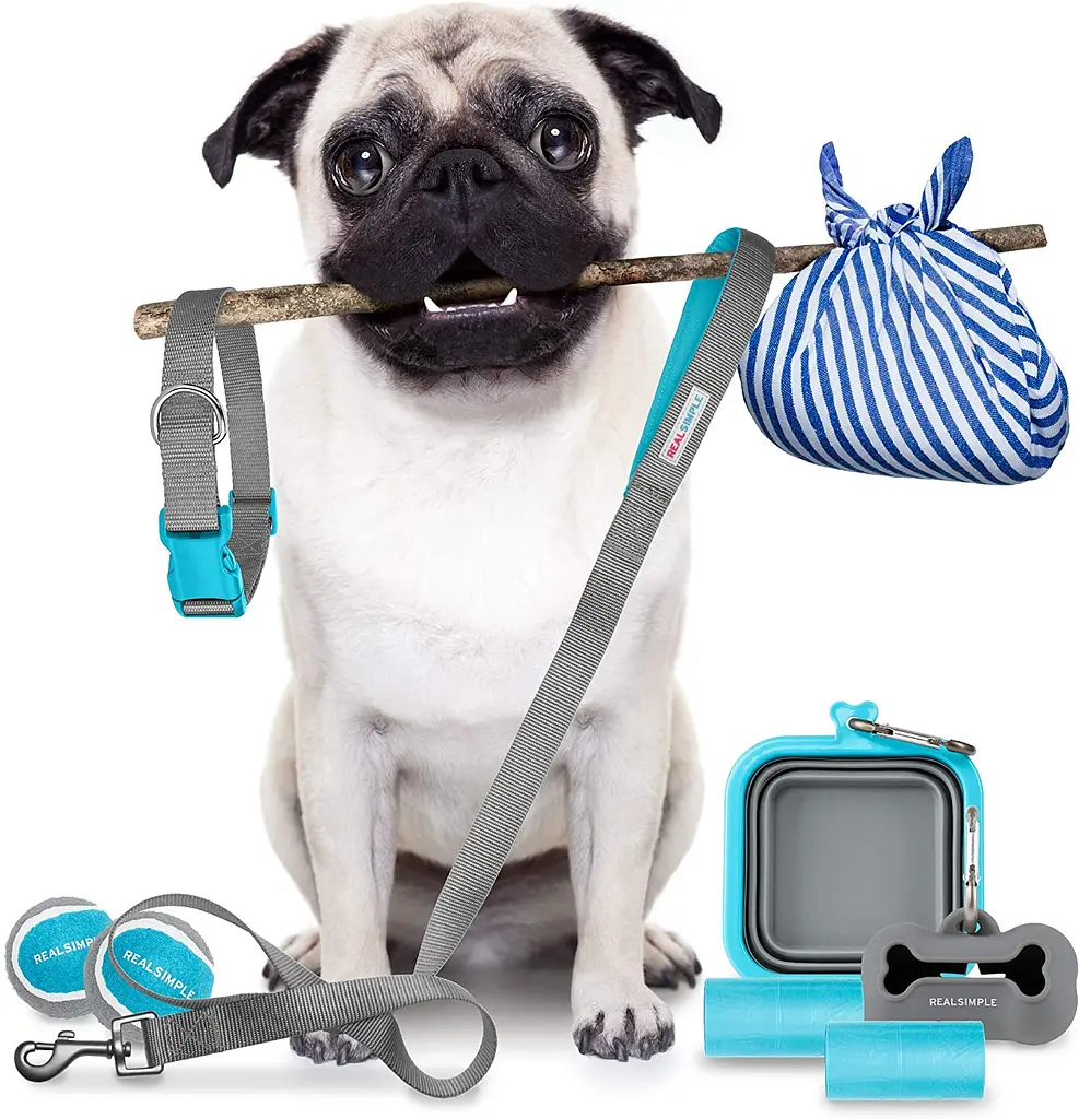 Набір для цуценят середніх і великих порід Real Simple Pet Dog сірий 10 предметів - фото 2