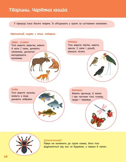 Енциклопедії Кенгуру. Дітям про світ навколо нас - Яна Кісилева - фото 6