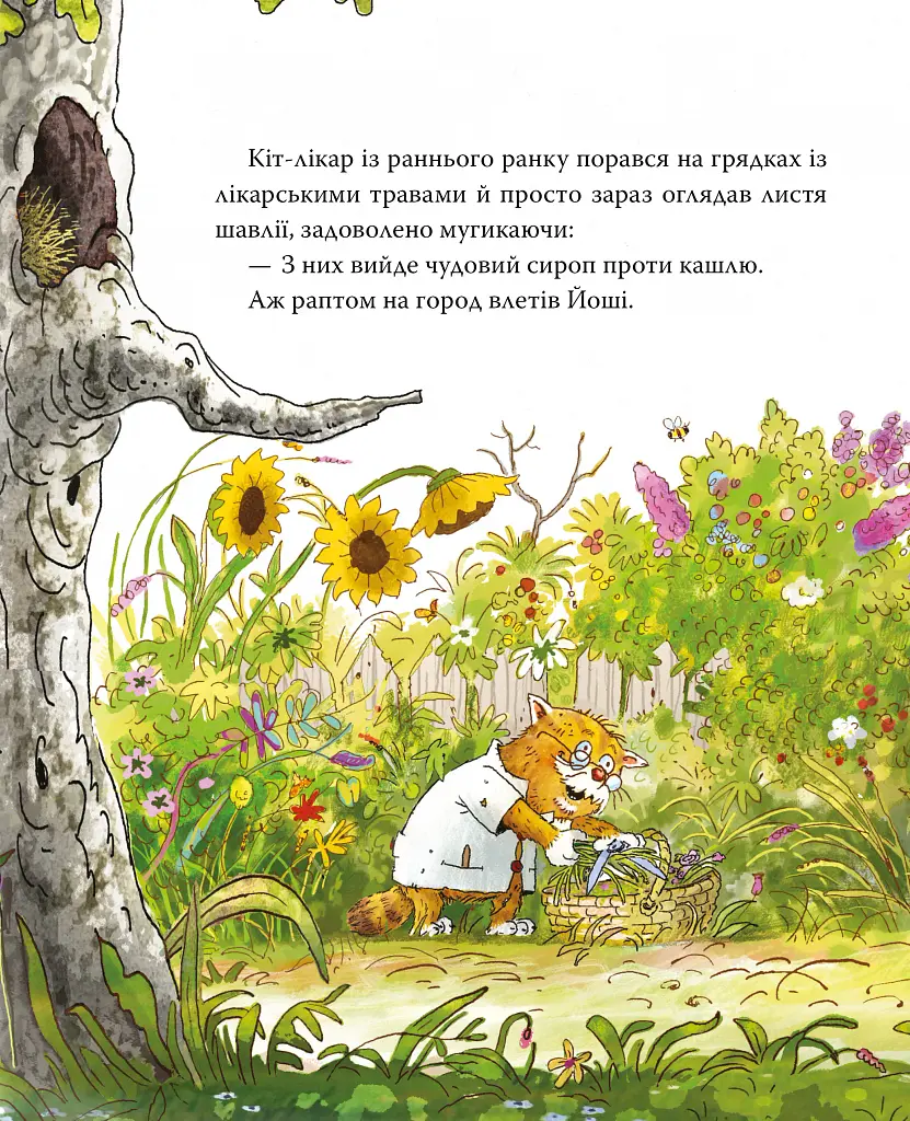 Заблукала вівця. Кіт-лікар. Книга 1 - Валько - фото 6