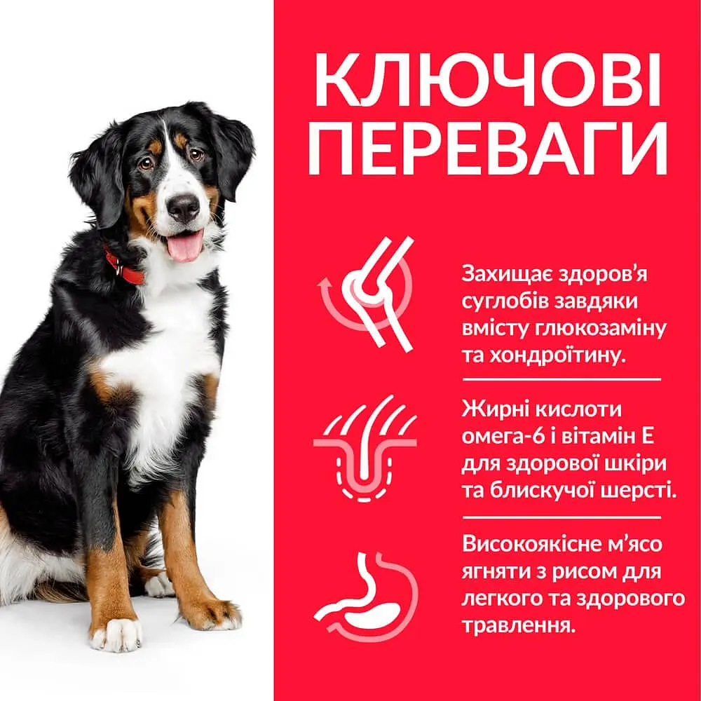 Сухий корм Hill’s SP Adult Large Breed для дорослих собак великих порід з ягням і рисом 14 кг - фото 2