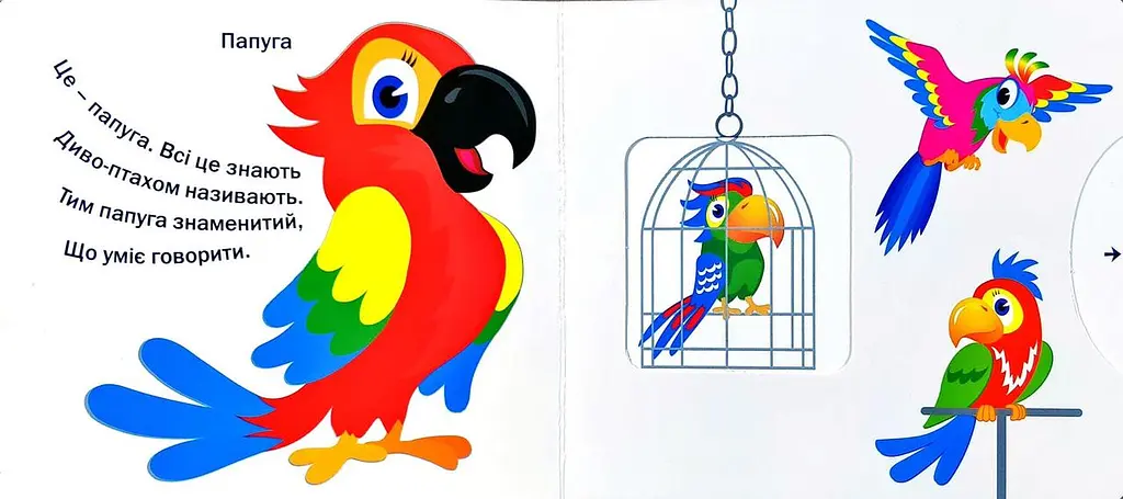 Книга Рухомі картинки. Ми живемо у місті kni0003637 - фото 3