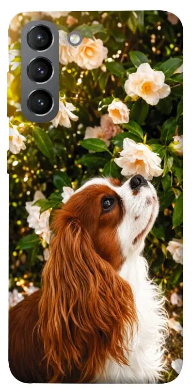 TPU чохол Demsky Flower spaniel для Samsung Galaxy S21
