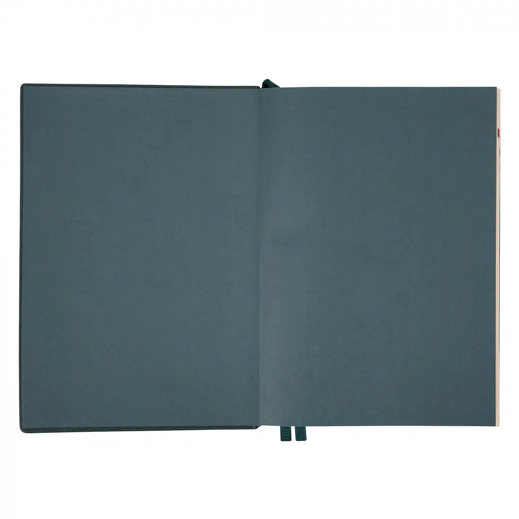 Ежедневник-деловая записная книжка А5 Leo Planner Credo 2026 интегральный изумрудный 368 страниц (252646) - фото 4