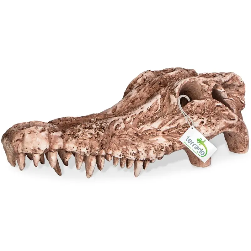 Декорація череп крокодила Terrario Crocodile Skull 30x14x9см (A15911) - фото 3