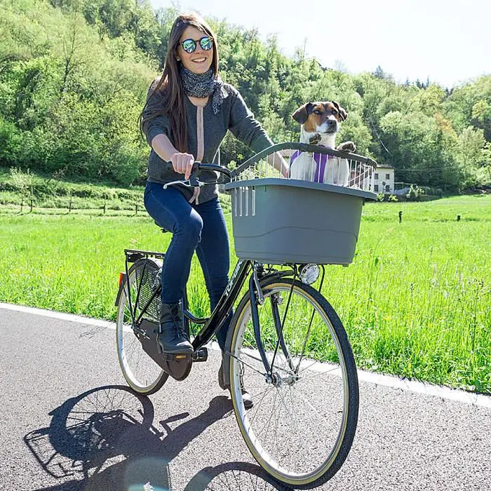 ATLAS BIKE 10 RAPID - фото 8