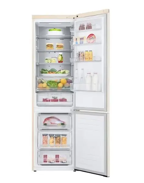 Холодильник LG GC-B509SESM - фото 3