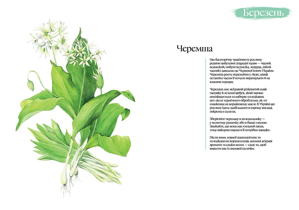 Кулінарний записник Весна - Дарія Крікунова - фото 3