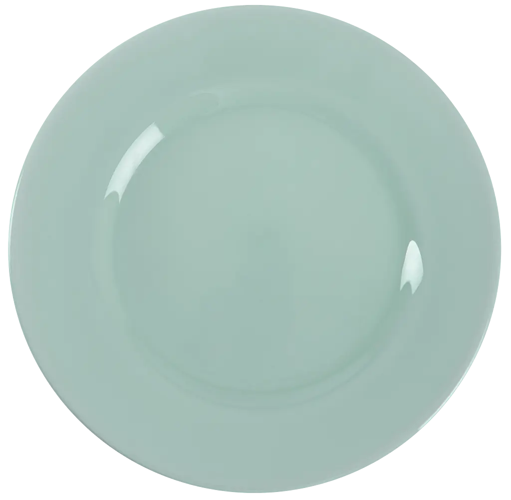 Тарелка обеденная Luminarc Plumi Light Turquoise 24 см (V9044) - фото 2