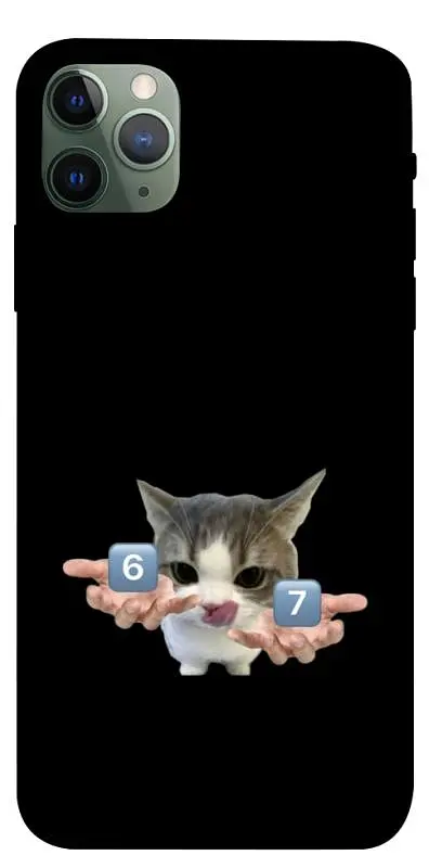 Чохол Demsky Six Seven cat для Apple iPhone 11 Pro Max (6.5")