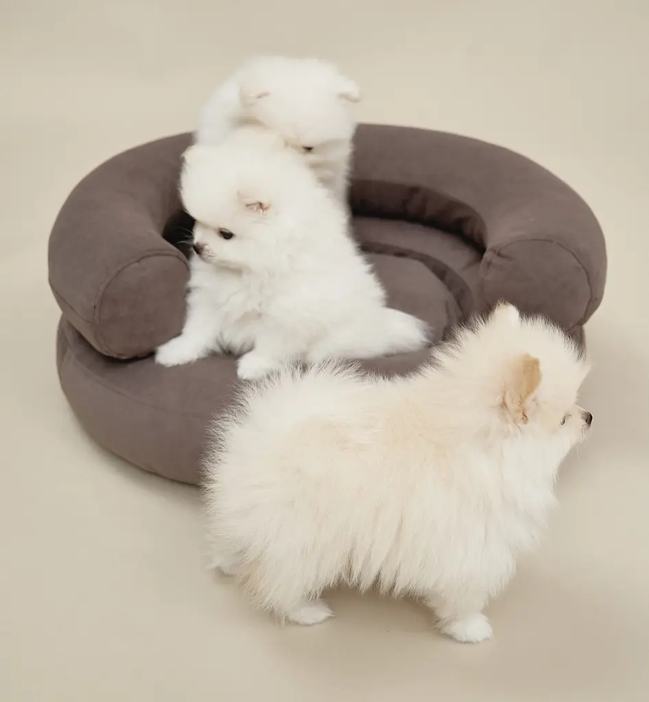 Лежак ортопедичний для собак "Marshmallow" коричневий М (90*75) - фото 6