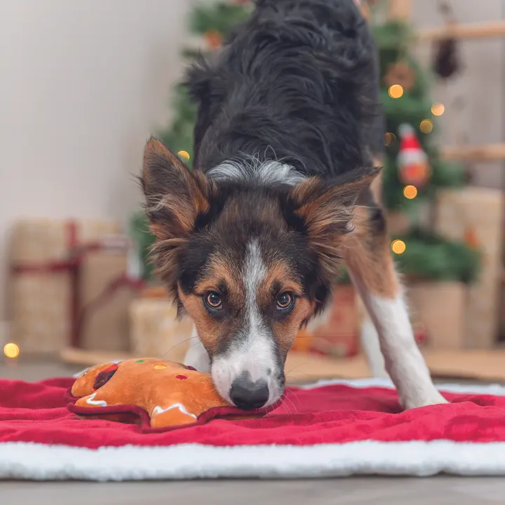 Игрушка для собак Trixie Рождественский пряник со звуком плюш 22 см (92604_Christmas) - фото 3