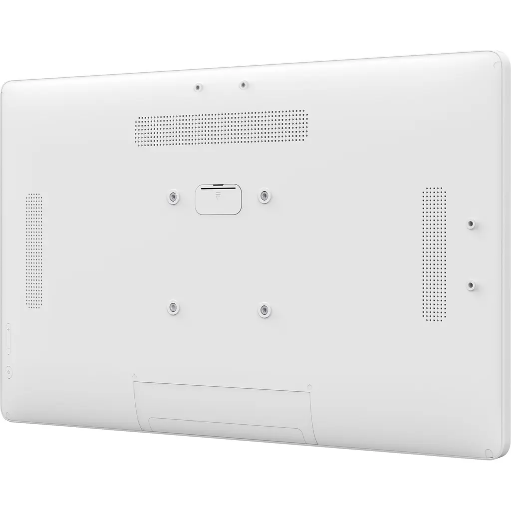 Портативний монітор Iiyama ProLite TW2424AS-W1 [111187] - фото 5