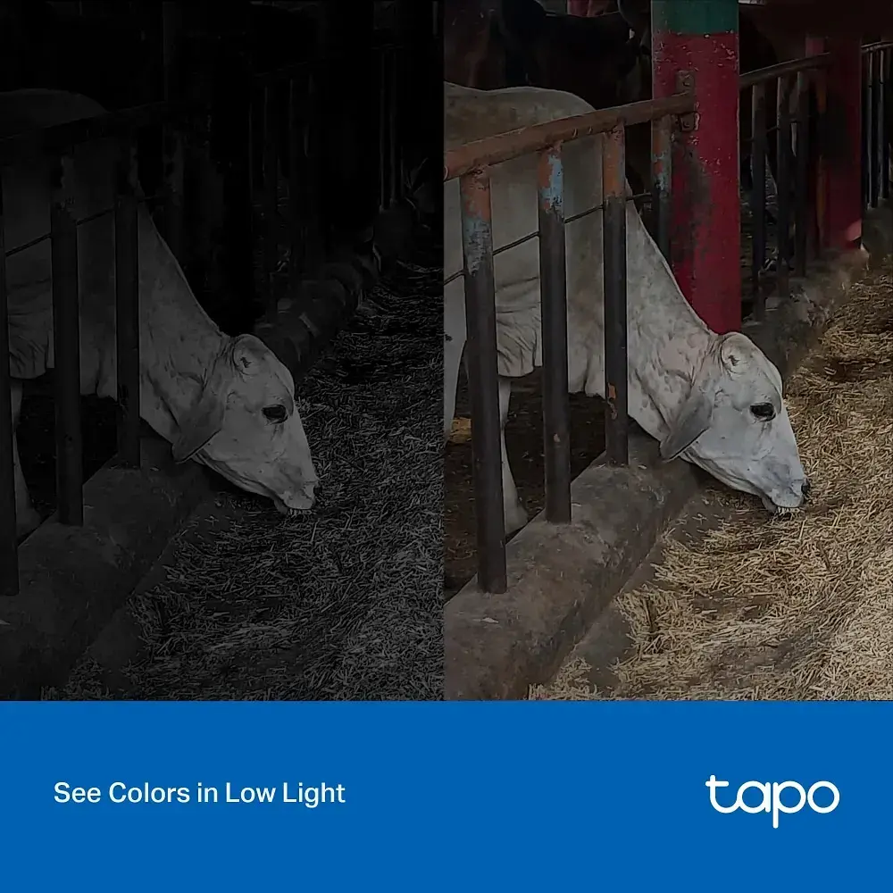 IP-камера для відеоспостереження TP-Link Tapo-C320WS [117347] - фото 8