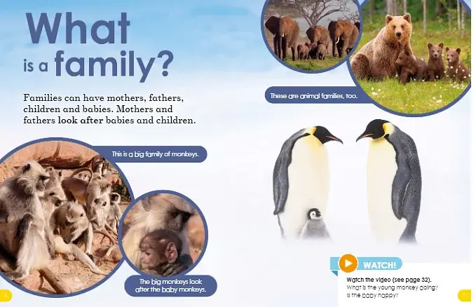 Animal Families - фото 4