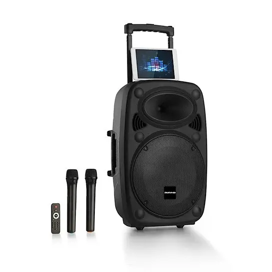 Мобільна акустична система auna Pro Streetstar 2.0 15 (10031568) - фото 10
