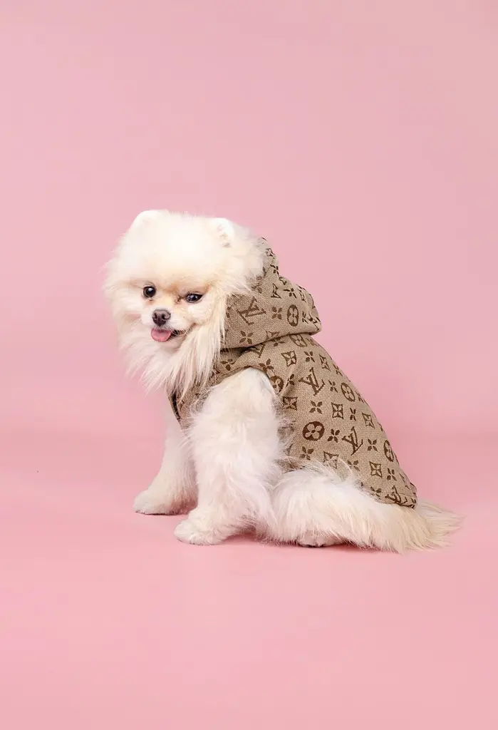 Жилетка для собак із капюшоном Louis Vuitton S бежева - фото 4