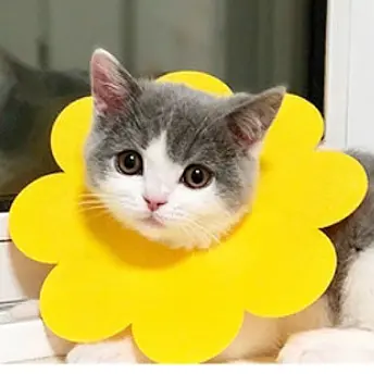 Захисний комір для котів Derby Sunflower Yellow, M