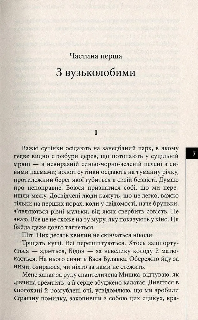 Місто уповільненої дії - Анатолій Дністровий - фото 4