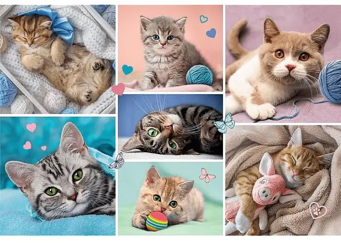 Пазл Trefl У світі котів колаж 100 ел. (16420) - фото 2