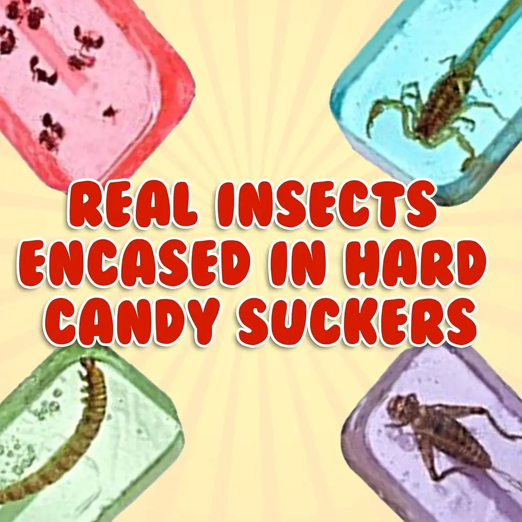 Льодяник із комахою Hotlix Assorted Cricket Sucker 1шт, 28г - фото 4