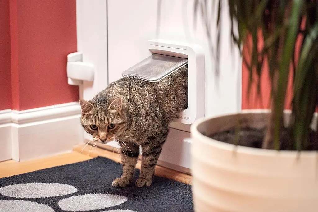 Відкидна стулка для кішок SureFlap з мікрочіпом Sure Petcare, біла, сканує посвідчення особистості тварини при вході Б/в - фото 3