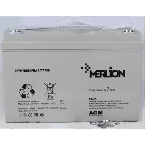 Акумулятор Merlion AGM GP121000M8 12V100Ah - фото 2