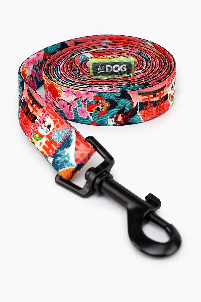 Повідець ТМ HIDOG Japan , ширина 10 мм (довжина 152 см) (2100102348012A)(SN) shop (2100102348012) - фото 2