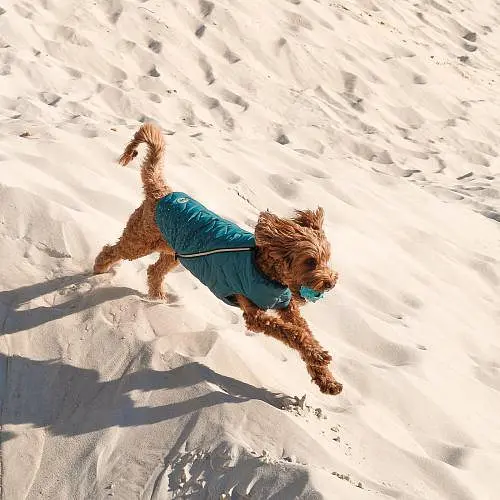 Жилет Pet Fashion E.Vest для собак, розмір L, морська хвиля - фото 4