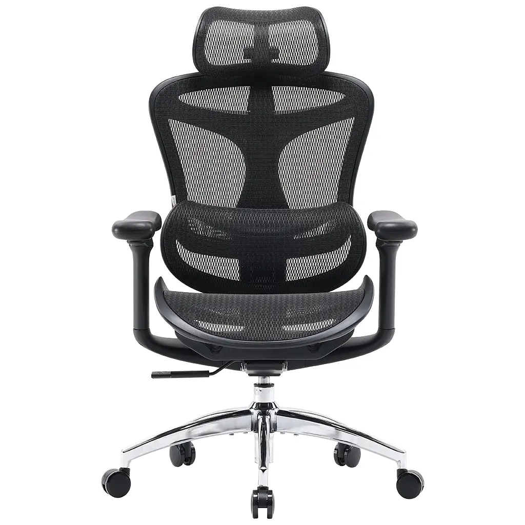 Офісне крісло Sihoo DORO C300L сітка, чорне (DORO-C300L-A3-101) - фото 3