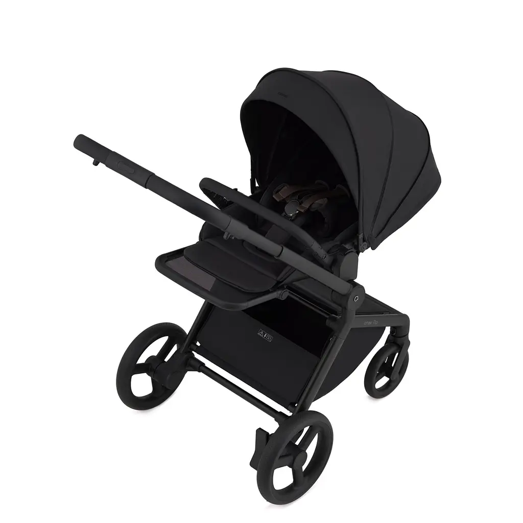 Дитяча коляска Anex Flo Lungo - фото 15