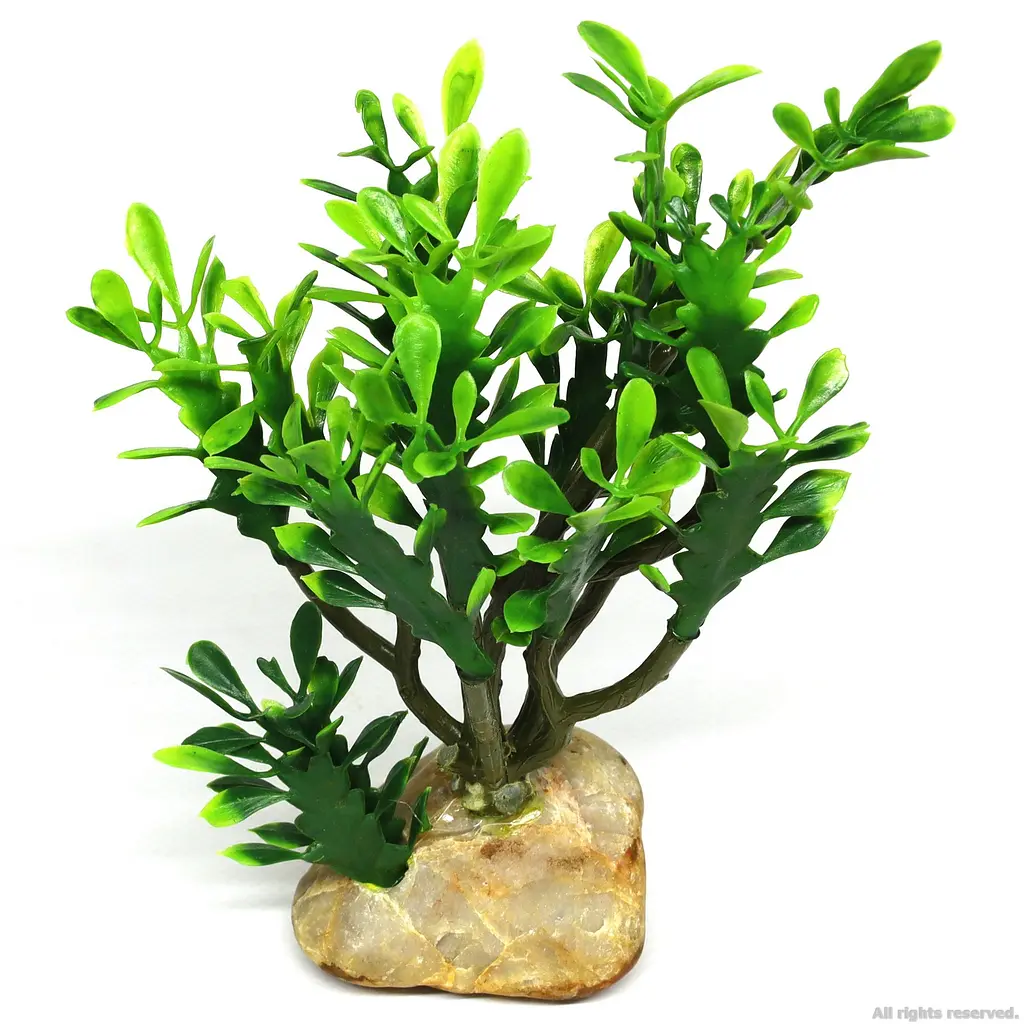 Штучна рослина кактус Hobby Euphorbia M 15x7x17см (36999) - фото 2
