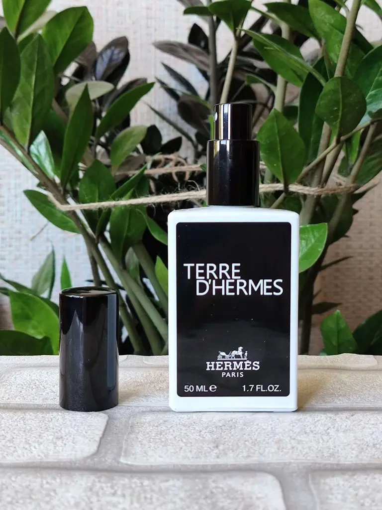 Парфуми чоловічі, аромат за мотивами Terre, У СУМОЧЦІ (50 мл) - фото 4