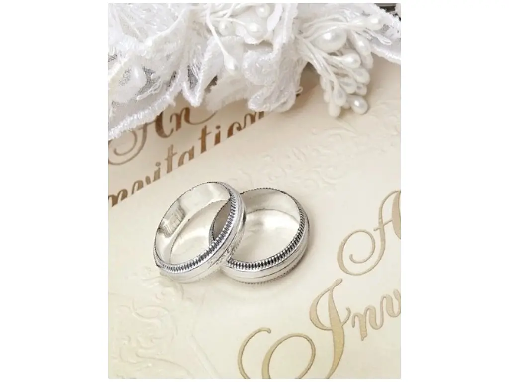 Фотоальбом UFO 10x15x200 PP-46200 Silver Rings