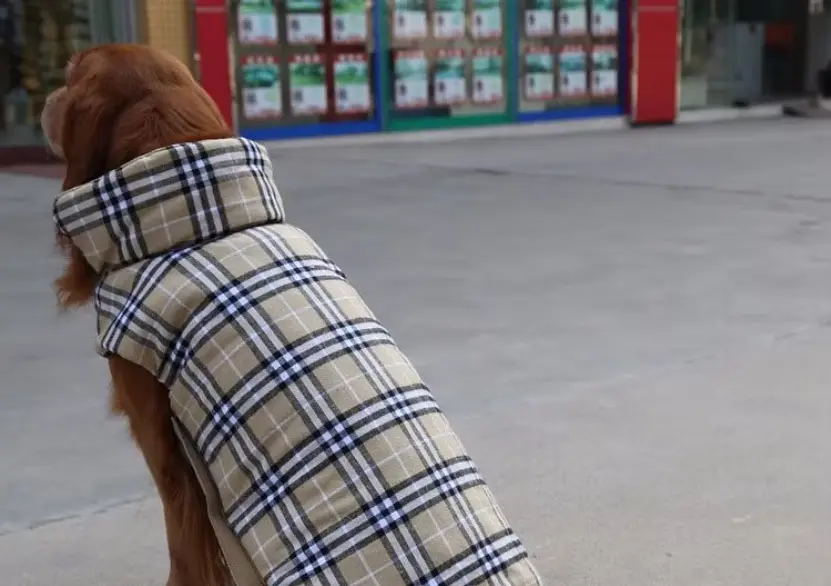 Зимовий водонепроникний двосторонній жилет у клітинку Derby Plaid Beige у британському стилі, XS Бежевий - фото 4