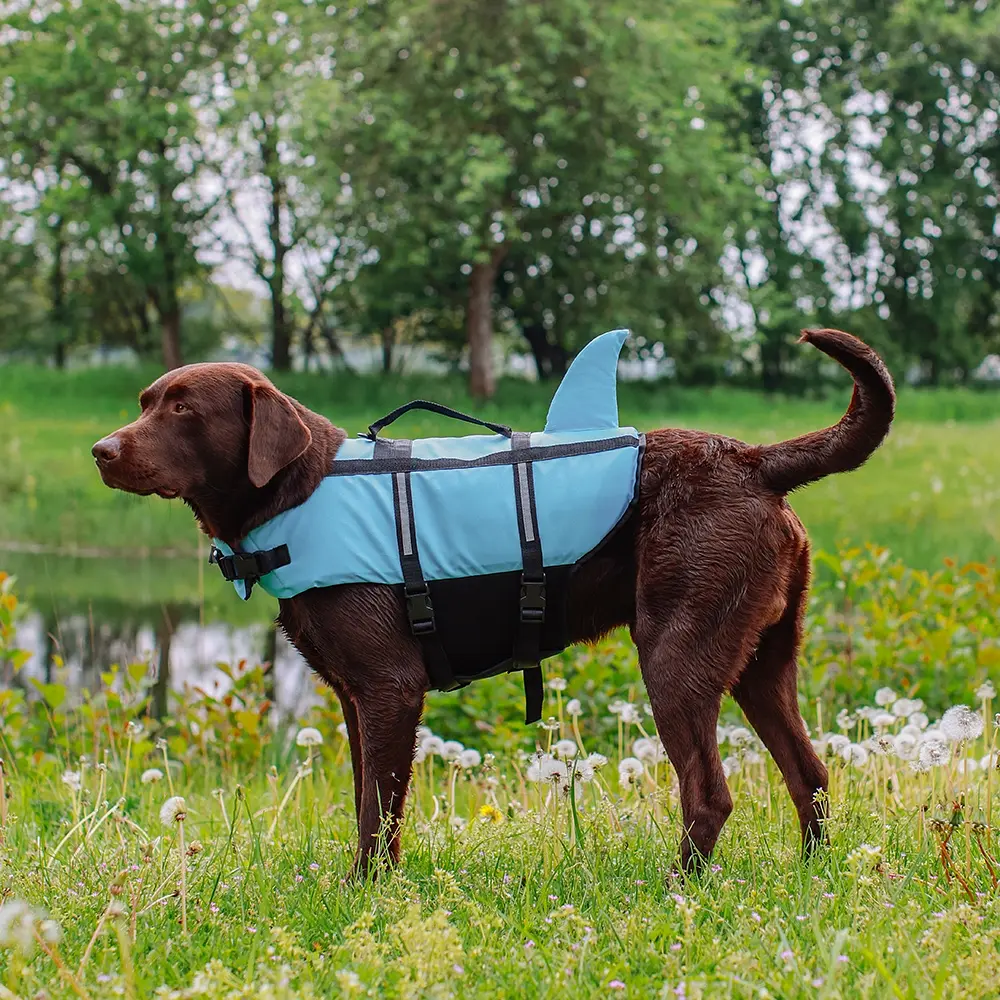 Рятувальний жилет для собак Nobby Sharki Swimming XL блакитний 45 см 61034 - фото 3