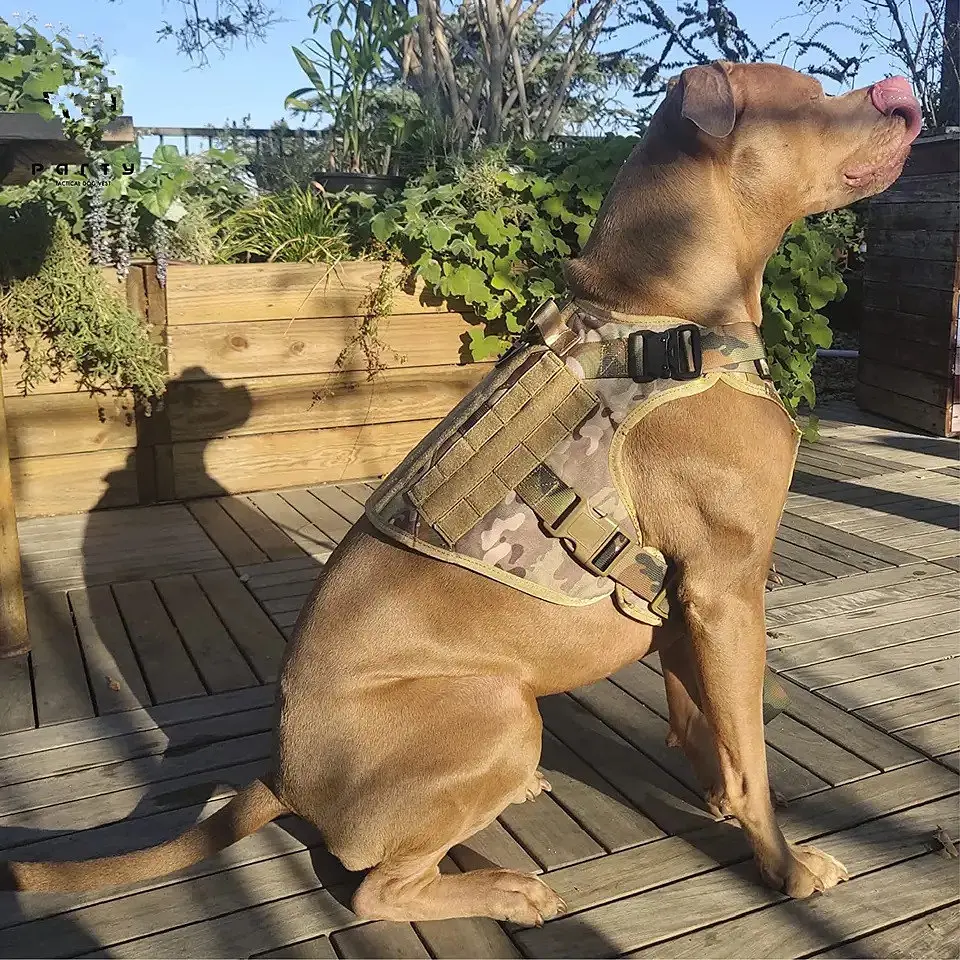 Шлейка для собак Harness K9 Long, металева пряжка фастекс і система MOLLE, XL, Камуфляж - фото 2