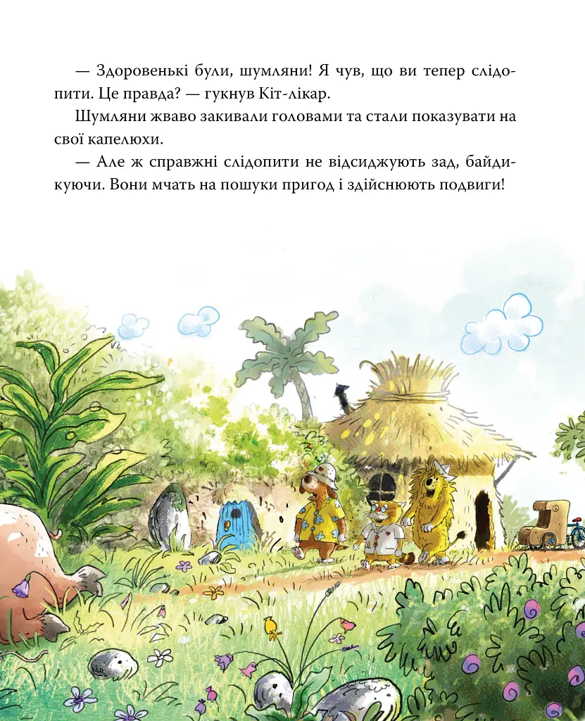 Шумківський чугайстер. Кіт-лікар. Книга 3 - Валько - фото 9