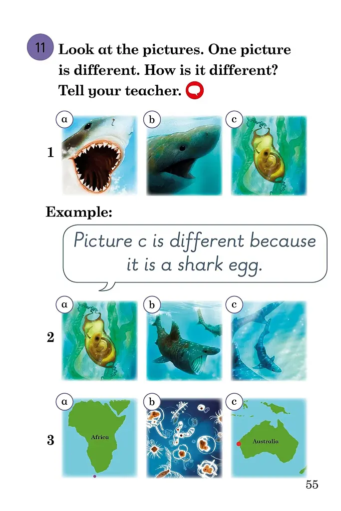 Ladybird Readers. Level 3. Sharks - фото 5